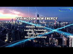PVkingdom, a one-stop service provider!